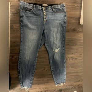 Torrid Jeans